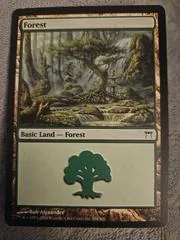 Forest #304