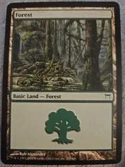 Forest #305