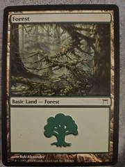 Forest #306
