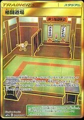 Martial Arts Dojo #79