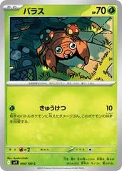 Paras #4