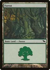 Forest #301