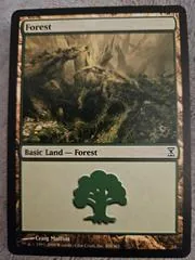 Forest #300