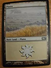 Plains #232