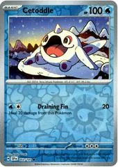 Cetoddle [Reverse Holo] #53