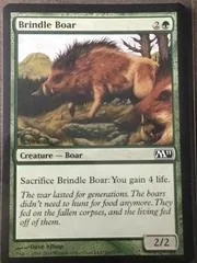 Brindle Boar #166