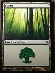 Forest #70