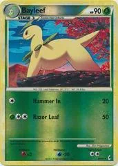 Bayleef [Reverse Holo] #40