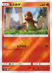 Charmander #5