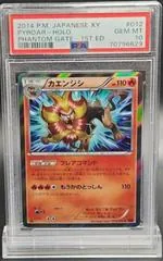 Pyroar #12