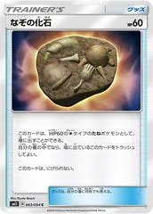 Unidentified Fossil #83