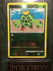 Cacnea [Reverse Holo] #67