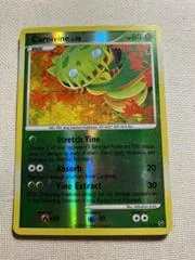 Carnivine [Reverse Holo] #43
