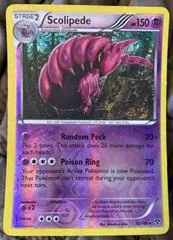 Scolipede [Reverse Holo] #53