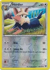 Herdier [Reverse Holo] #109
