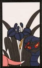 Arbok, Slowpoke (May)