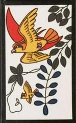 Pidgeot, Pidgey (April)