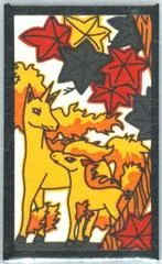 Ponyta, Rapidash (October)
