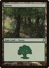 Forest #301