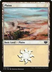 Plains #319