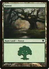 Forest #264