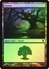 Forest [Foil] #264