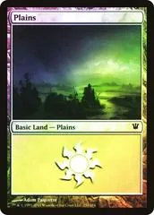 Plains [Foil] #250