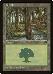 Forest #164