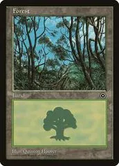 Forest #165