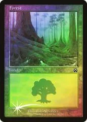 Forest [Foil] #348