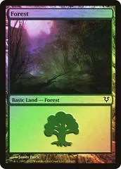 Forest [Foil] #242