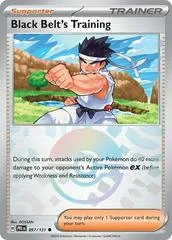 Black Belt's Training [Poke Ball] #97