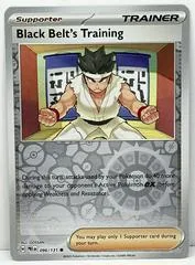 Black Belt's Training [Reverse] #96