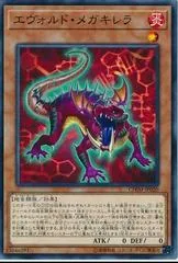 Evoltile Megachirella CHIM-JP020