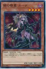 Luna the Dark Spirit CHIM-JP027