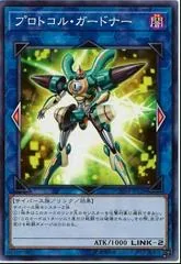 Protocol Gardna CHIM-JP038