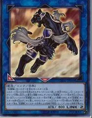 Test Panther CHIM-JP046