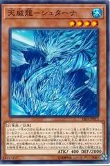 Tenyi Spirit - Shthana RIRA-JP013