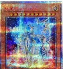 Avida, Rebuilder of Worlds [20th Secret Rare] RIRA-JP027