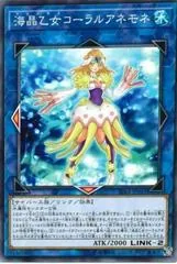 Marincess Coral Anemone RIRA-JP041