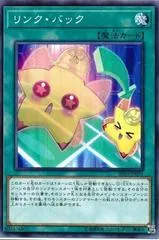 Link Back RIRA-JP051