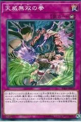 Fists of the Unrivaled Tenyi RIRA-JP072