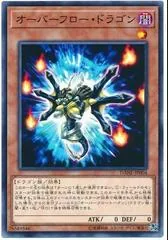 Overflow Dragon DANE-JP004