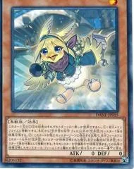 Filo, Messenger Fur Hire DANE-JP015