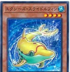 Xyz Slidolphin DANE-JP023