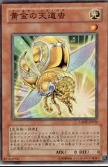 Golden Ladybug LODT-JP036