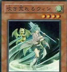 Storming Wynn EOJ-JP029