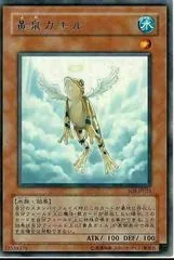 Treeborn Frog SOI-JP025