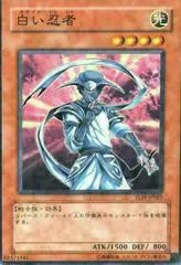 White Ninja TLM-JP025