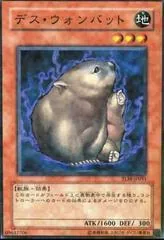 Des Wombat TLM-JP031